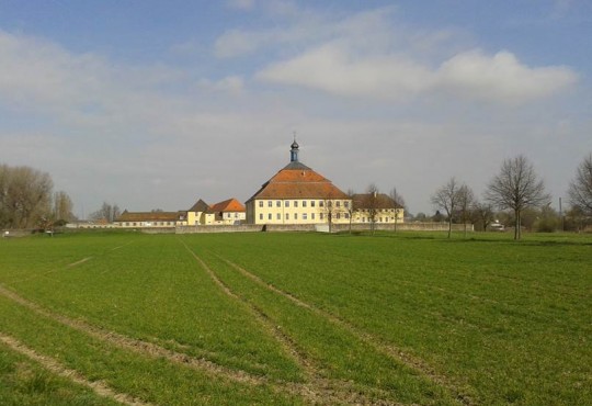 Das Schloß Kislau im März 2014