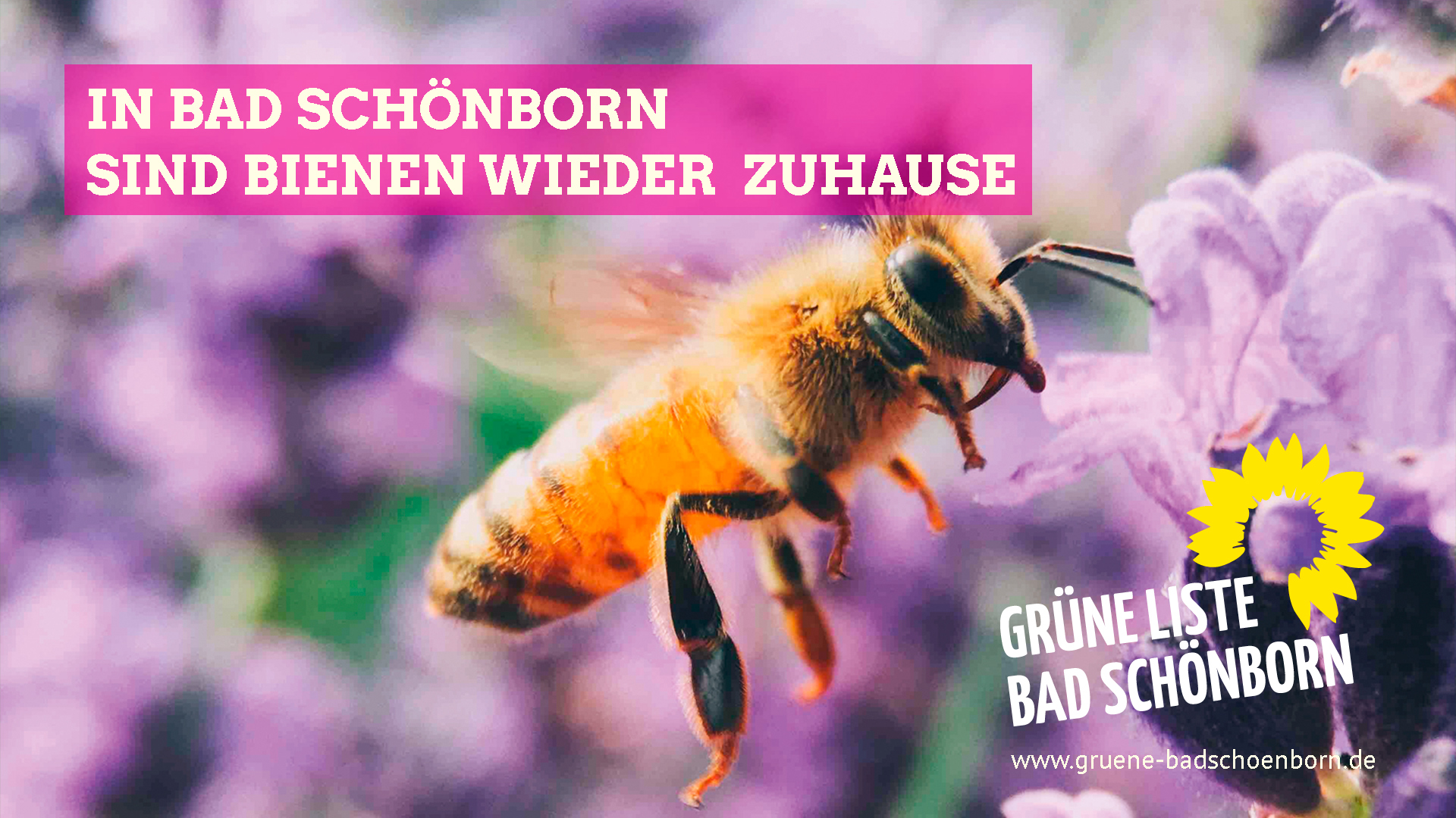 In Bad Schönborn sind Bienen wieder zuhause