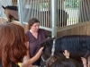 Elke KÃ¤stel, Black Beauty und viele KinderhÃ¤nde