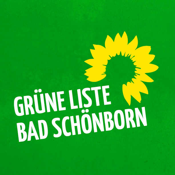 Ausführlicher Bericht zur ersten Gemeinderatssitzung des Jahres mit vielen Anträgen der Grünen Liste