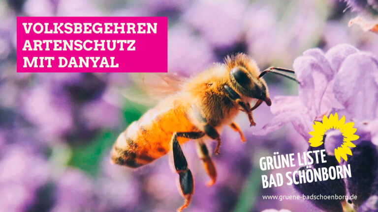 Volksbegehren Artenschutz: jede*r kann mitwirken