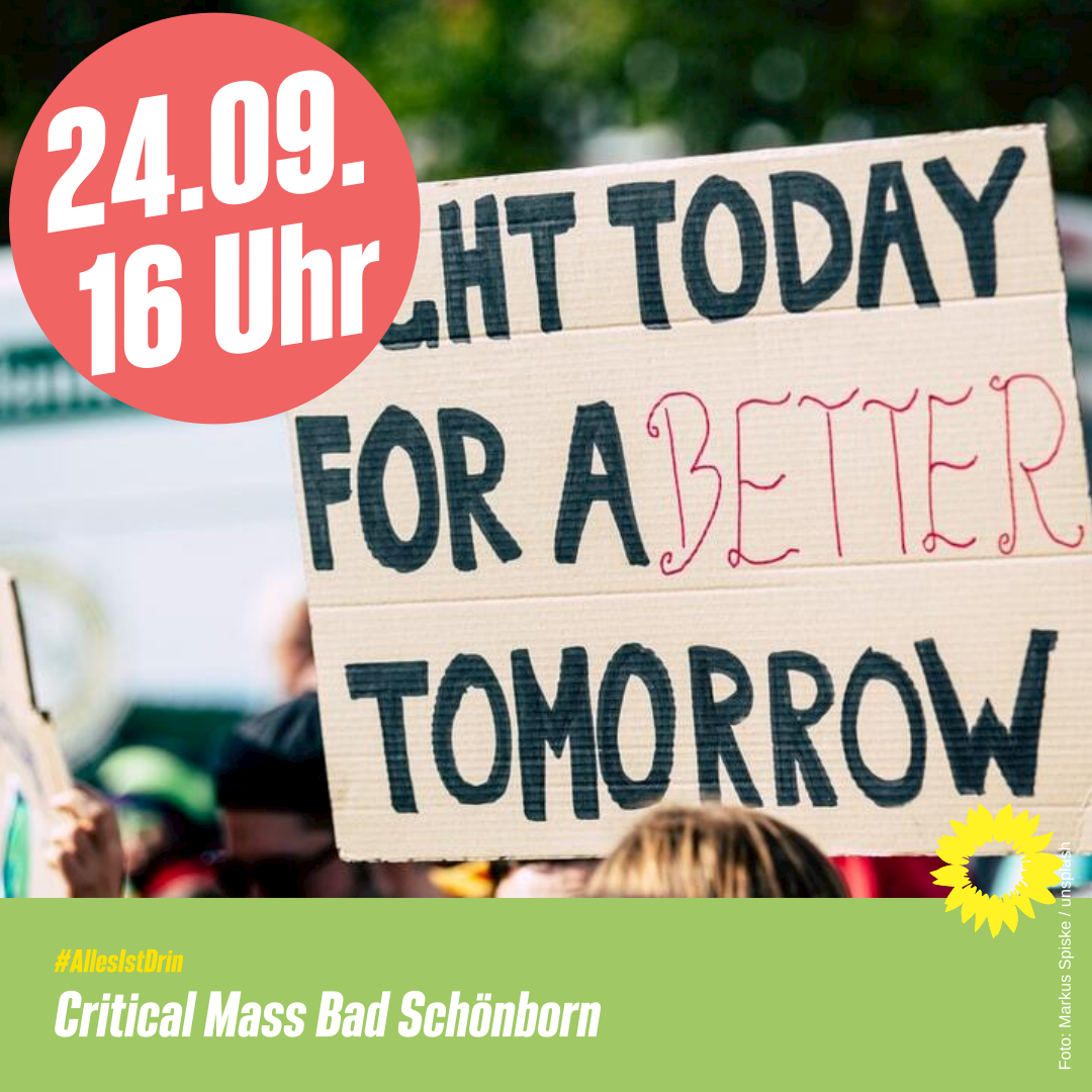 Critical Mass Bad SchÃ¶nborn