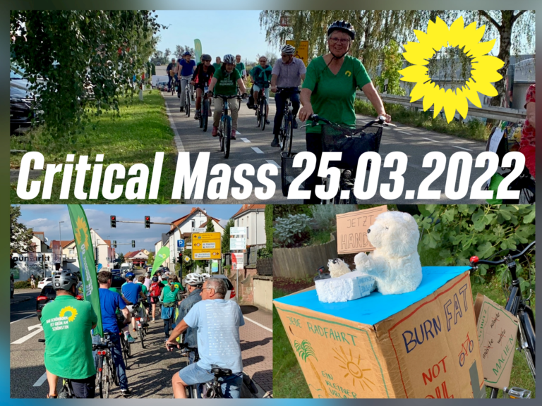 Sei schlau – steh nicht im Stau!