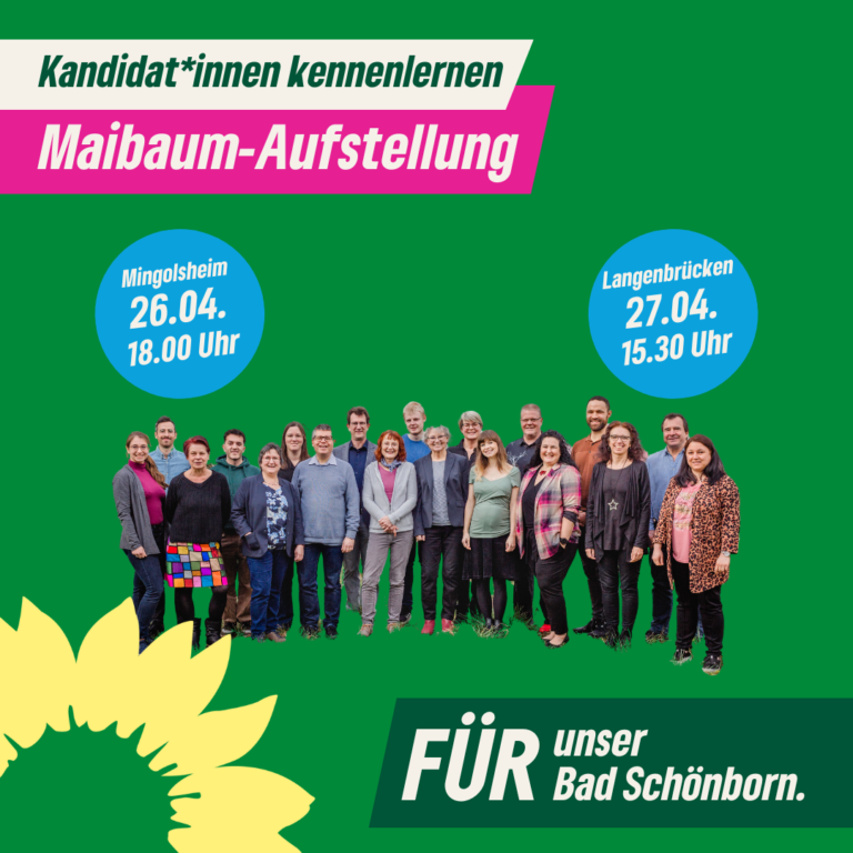 Maibaum-Aufstellung