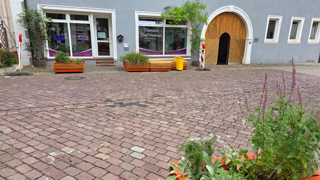 Grüne Bepflanzung